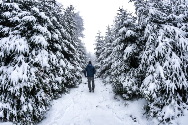 Kurzurlaub Harz: 3 Tage in der Region