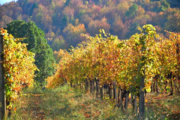 Kurzurlaub Stuttgart: 3 Tage in der Region – Eindruck 2