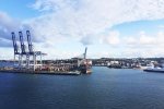 Auckland auf dem Wasser: Wein- und Käse-Kreuzfahrt mit 14 % Rabatt