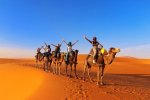 7-tägige Marokko-Rundreise ab Casablanca: Wüste, Berge und Küste entdecken