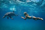 Delfine und Korallenriffe: VIP-Schnorcheltour ab Hurghada mit 19,95 % Rabatt