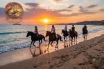 Reiten in Hurghada: Wüste, Strand und Pferdeschwimmen im Roten Meer